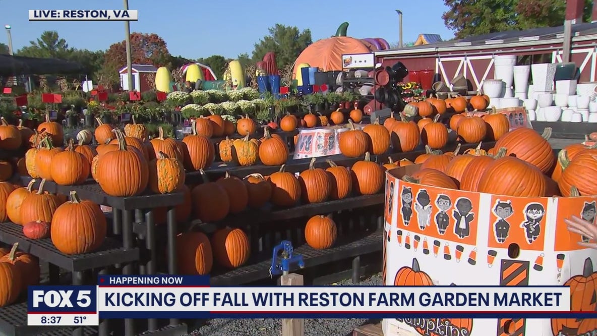 Checking out the fun Fall activities at Reston Farm Garden Market